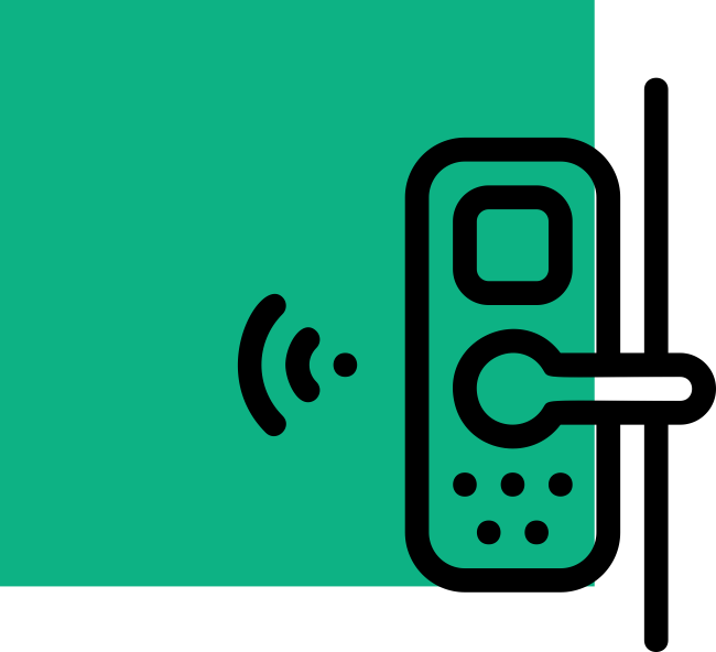 PTZ Cameras